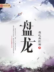 盘龙 盘龙